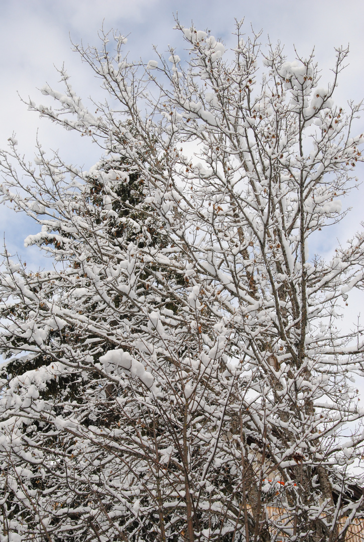 Schweiz - Laax - der erste Schnee