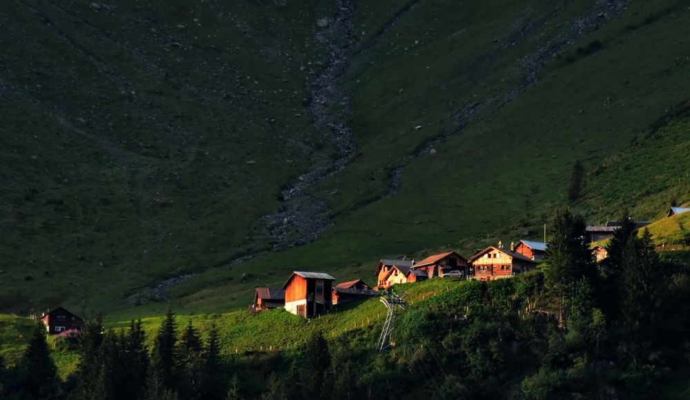 Schweiz: Morgensonne auf der Alp