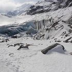 Schweiz, Morteratsch - Gletscher.