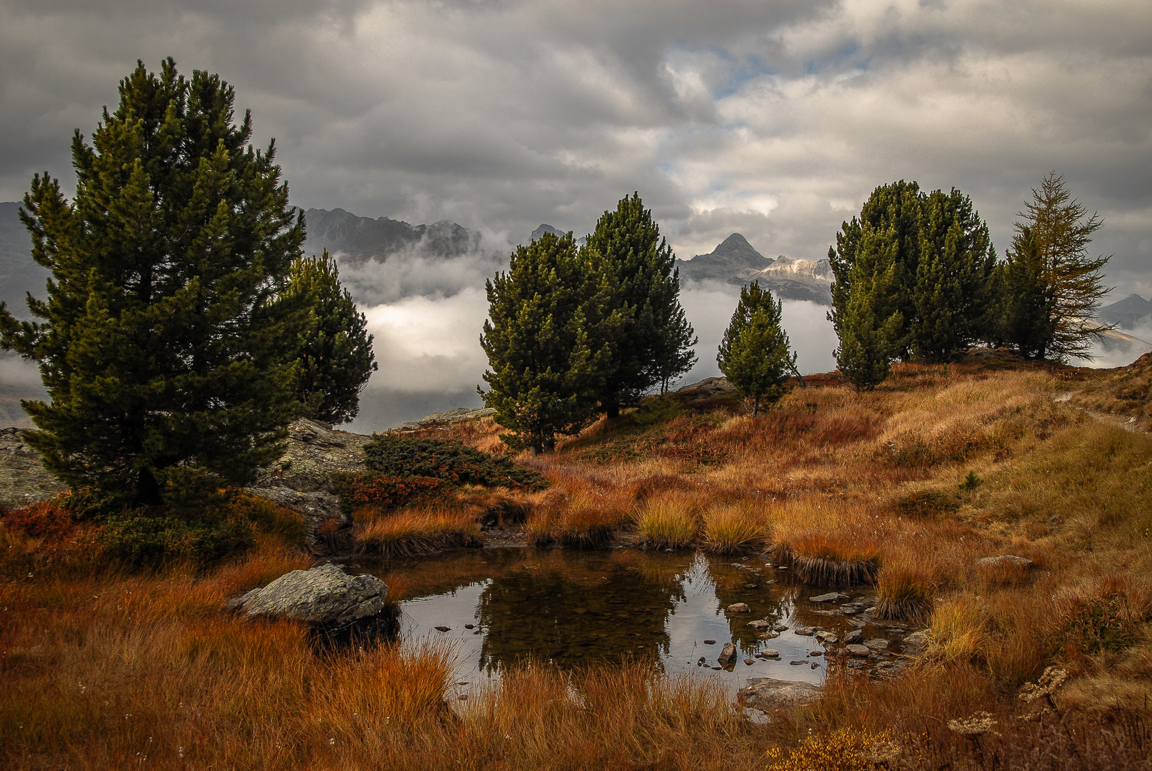 Schweiz - Oberengadin - Herbstfarben 4