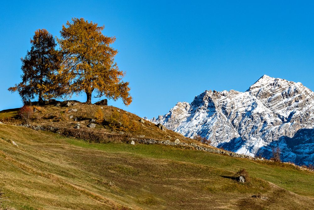 Schweiz – Unterengadin im Spätherbst Impression 15 