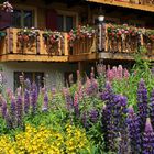 Schweiz, Wallis, Walliser Chalet mit Sommergarten