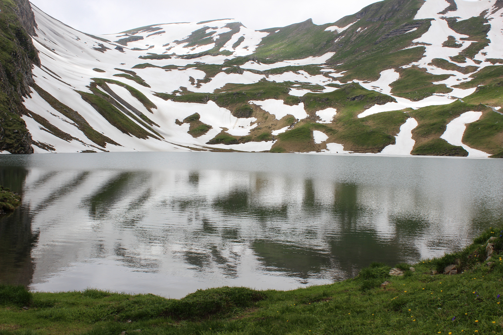 Schweizer Alpen