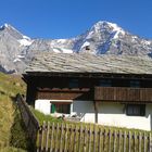 Schweizer Alpen