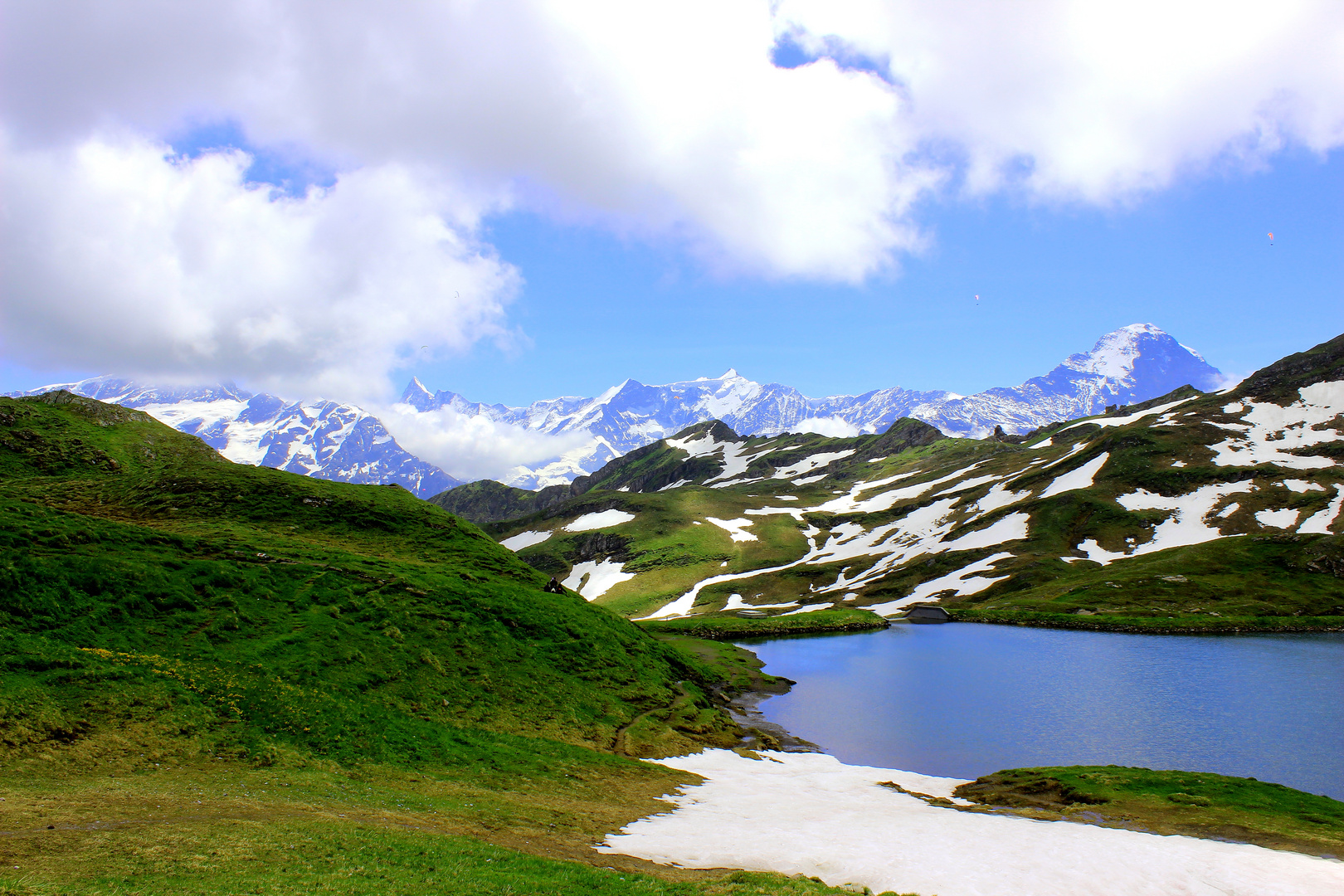 Schweizer Alpen