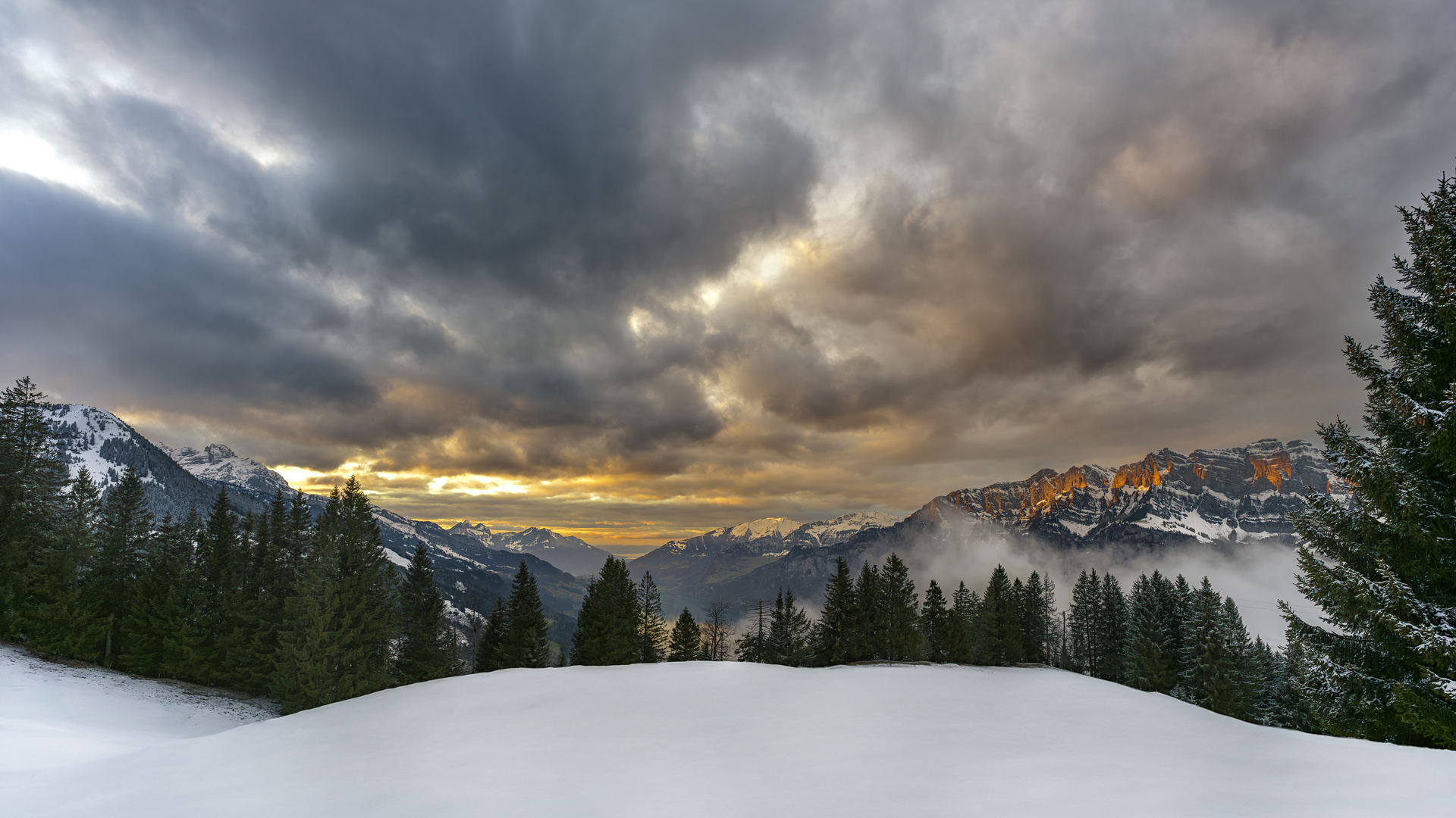 Schweizer Alpen