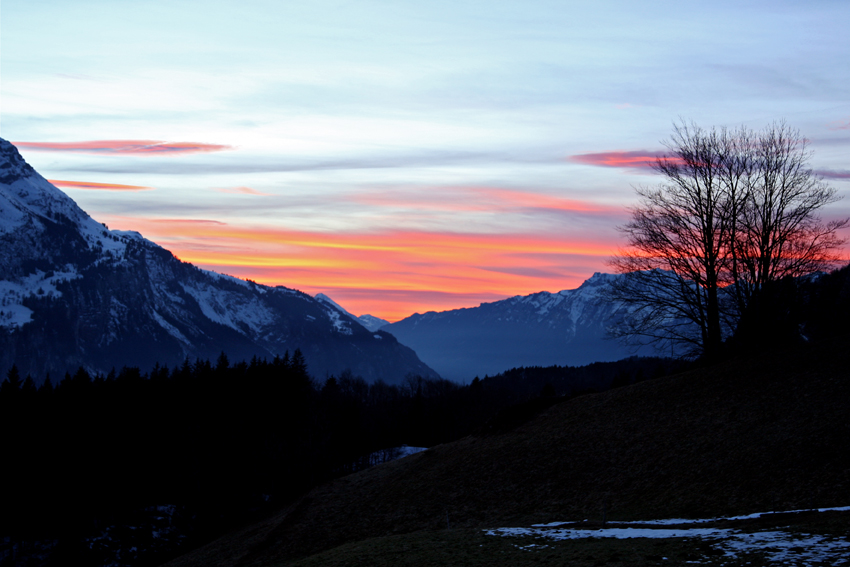 Schweizer Alpen