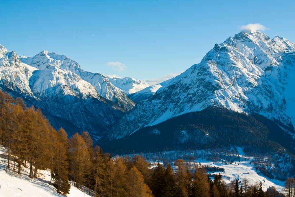 Schweizer Alpen