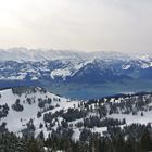 Schweizer Alpen