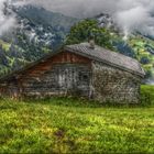 Schweizer Alpen in St. Stephan Gfell