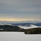 schweizer Alpen und Nebel im Rheintal