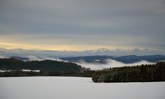 schweizer Alpen und Nebel im Rheintal