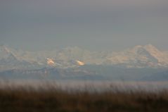 Schweizer Alpenkette