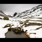 Schweizer Alpiner Hochsommer