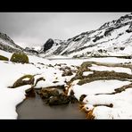 Schweizer Alpiner Hochsommer