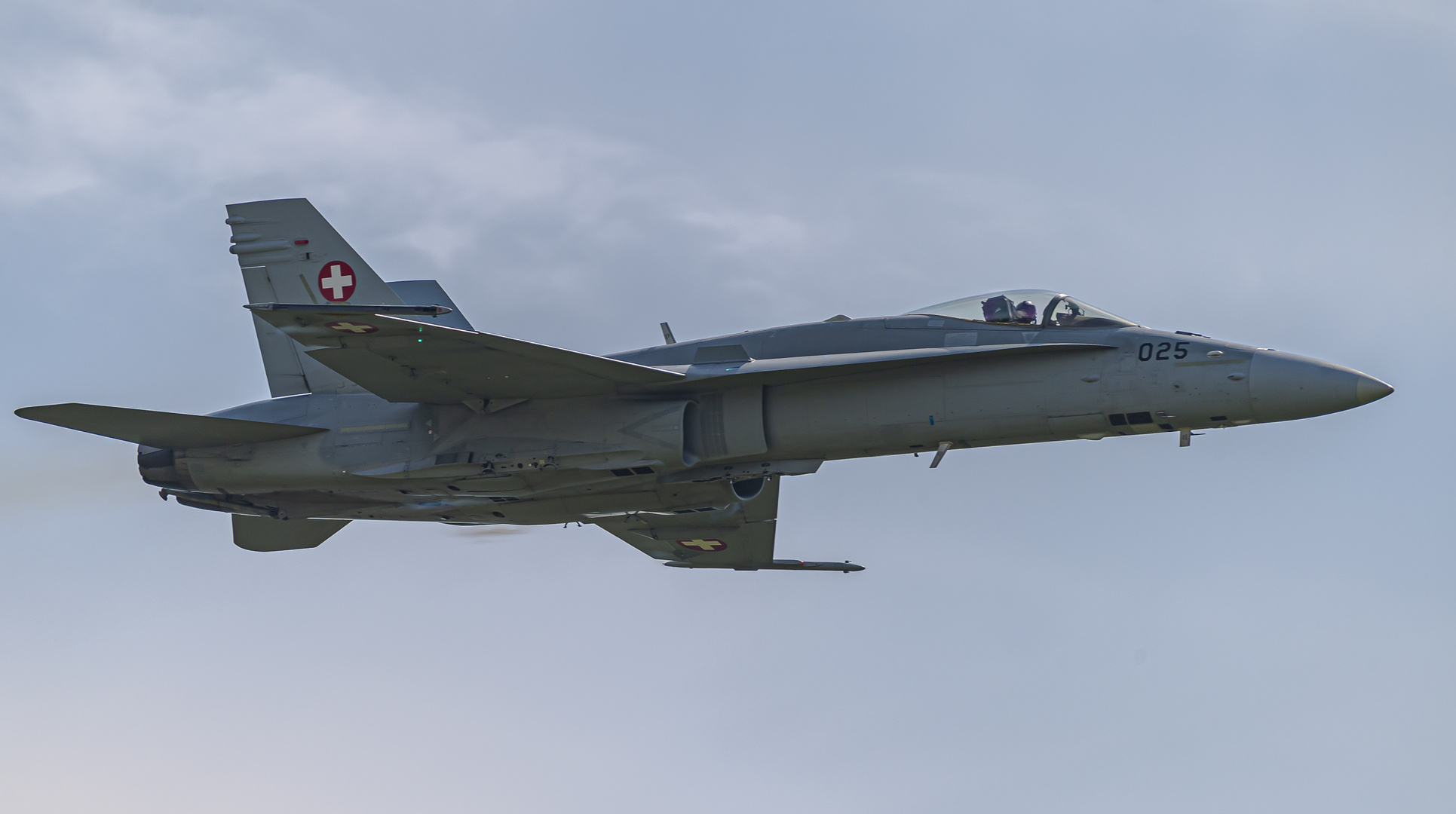 Schweizer Armee, Luftwaffe, F/A 18C Hornet