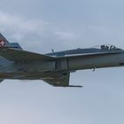 Schweizer Armee, Luftwaffe, F/A 18C Hornet