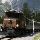 Schweizer Bahnen