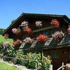 Schweizer Bauernhaus - einfach wunderschön anzuschauen
