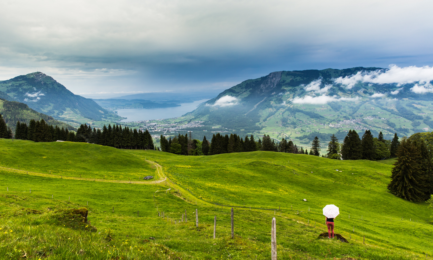 Schweizer Berge