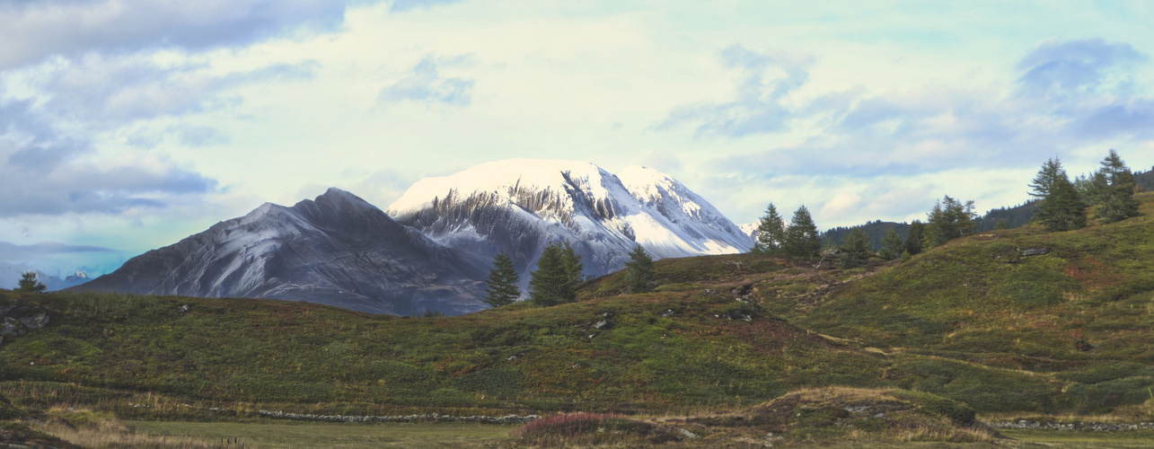 Schweizer Berge