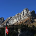 Schweizer Berge