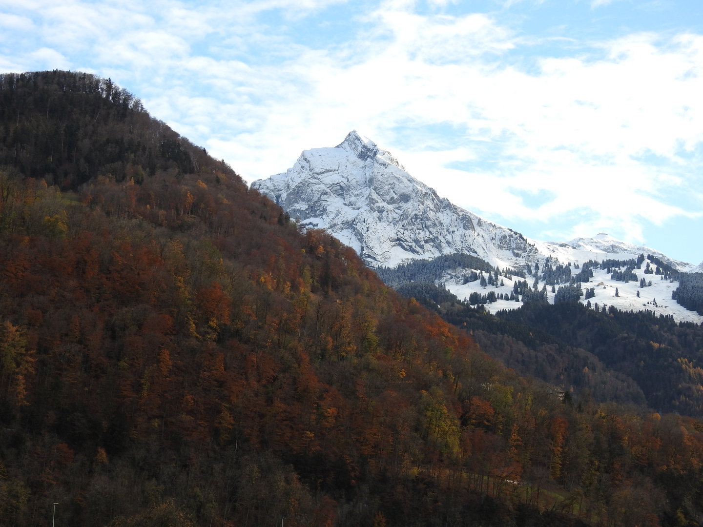 Schweizer Berge