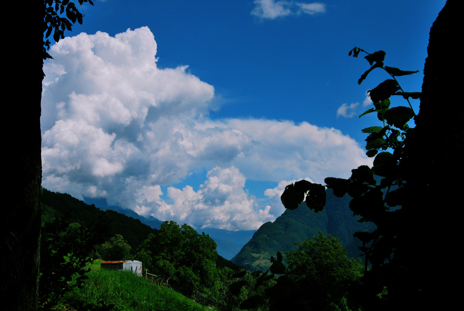 Schweizer Berge