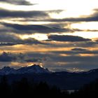 Schweizer Berge hinterm Bodensee.