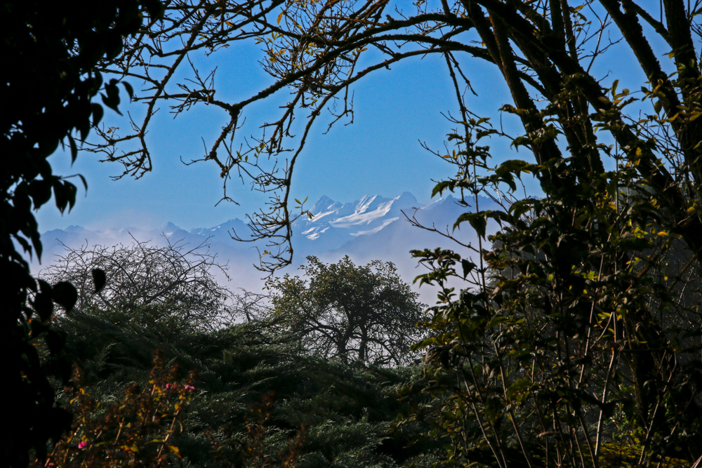 Schweizer Berge mit nepalesischem Touch