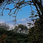 Schweizer Berge mit nepalesischem Touch