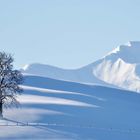 Schweizer Berge mit Schneehaube