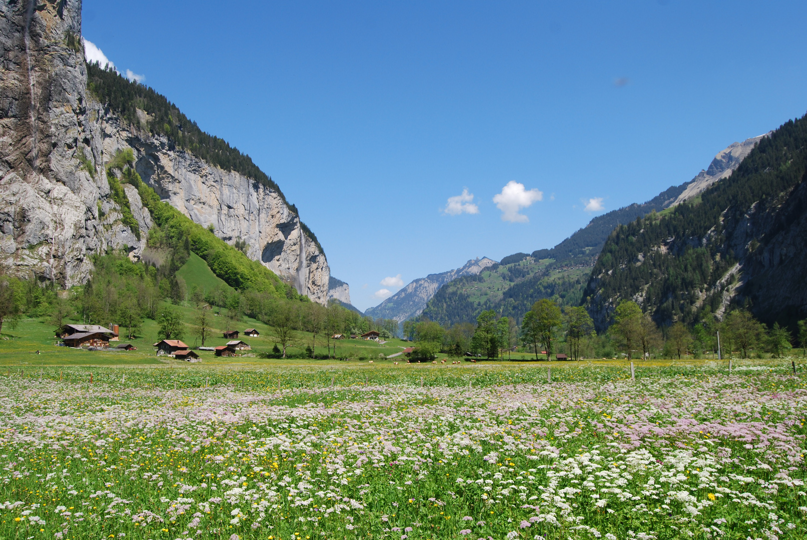 Schweizer Bergidylle