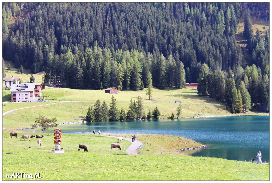 Schweizer Bergsee