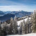 Schweizer Fjordlandschaft 