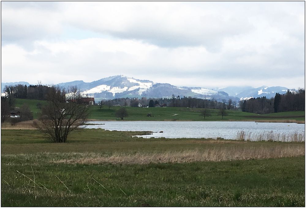 Schweizer Frühling