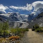 Schweizer Gletscher