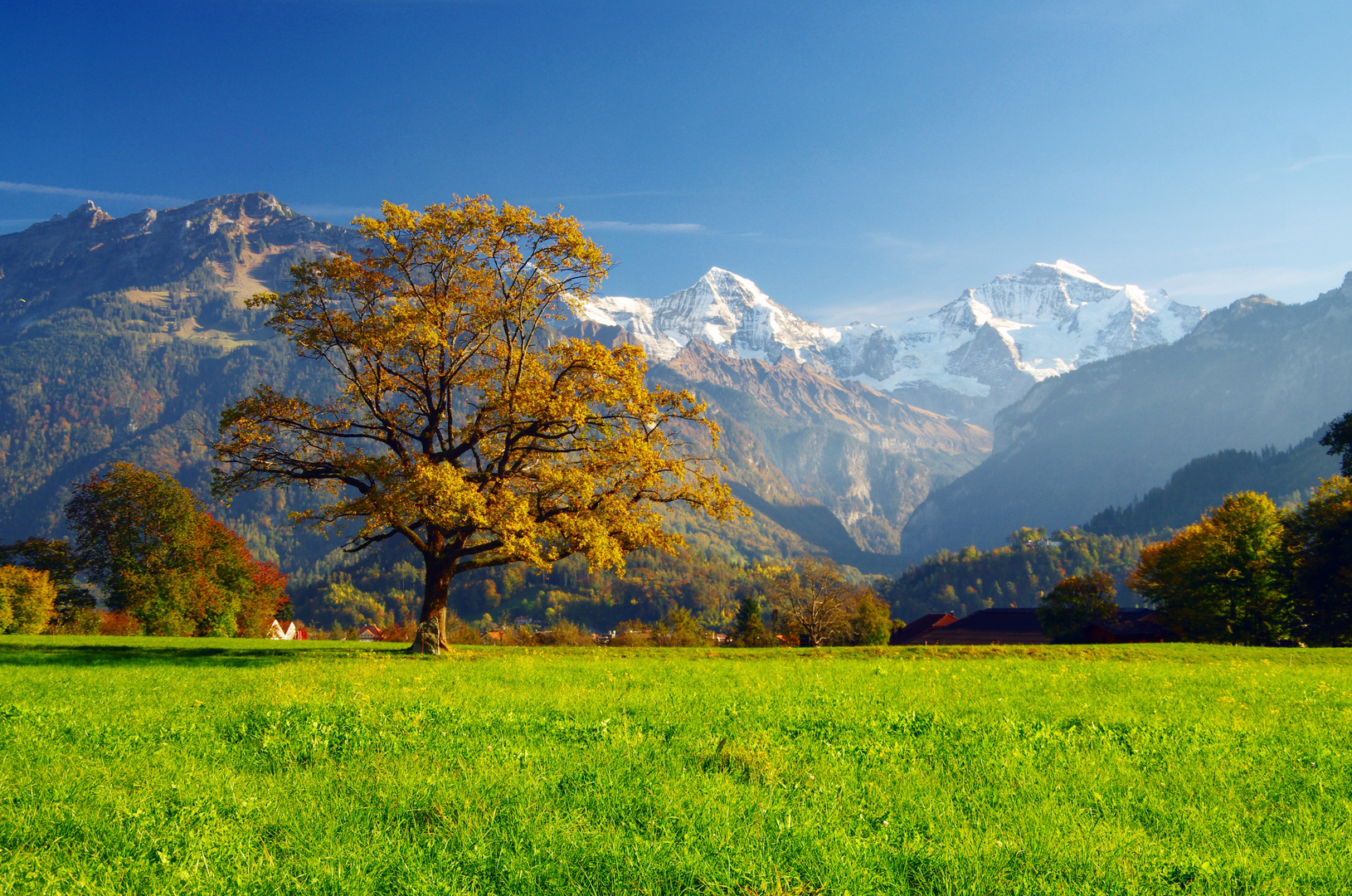 Schweizer Herbst Foto Bild jahreszeiten herbst fotos Schweizer Herbst Foto Bild jahreszeiten herbst fotos