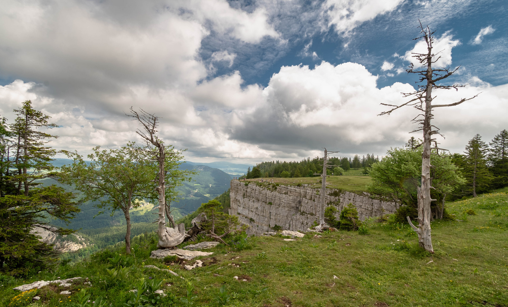 Schweizer Jura