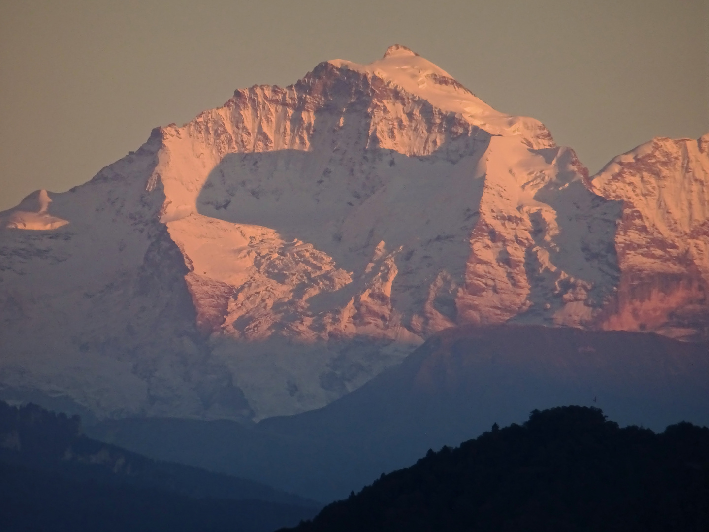 Schweizer Kreuz auf der Jungfrau im Alpenglühn