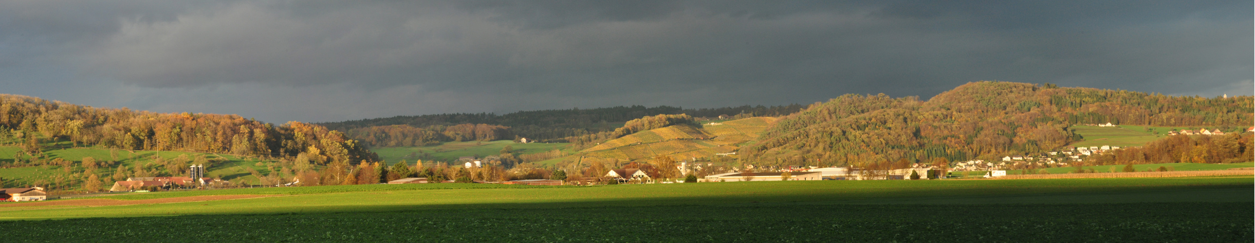 Schweizer Landschaft (36)