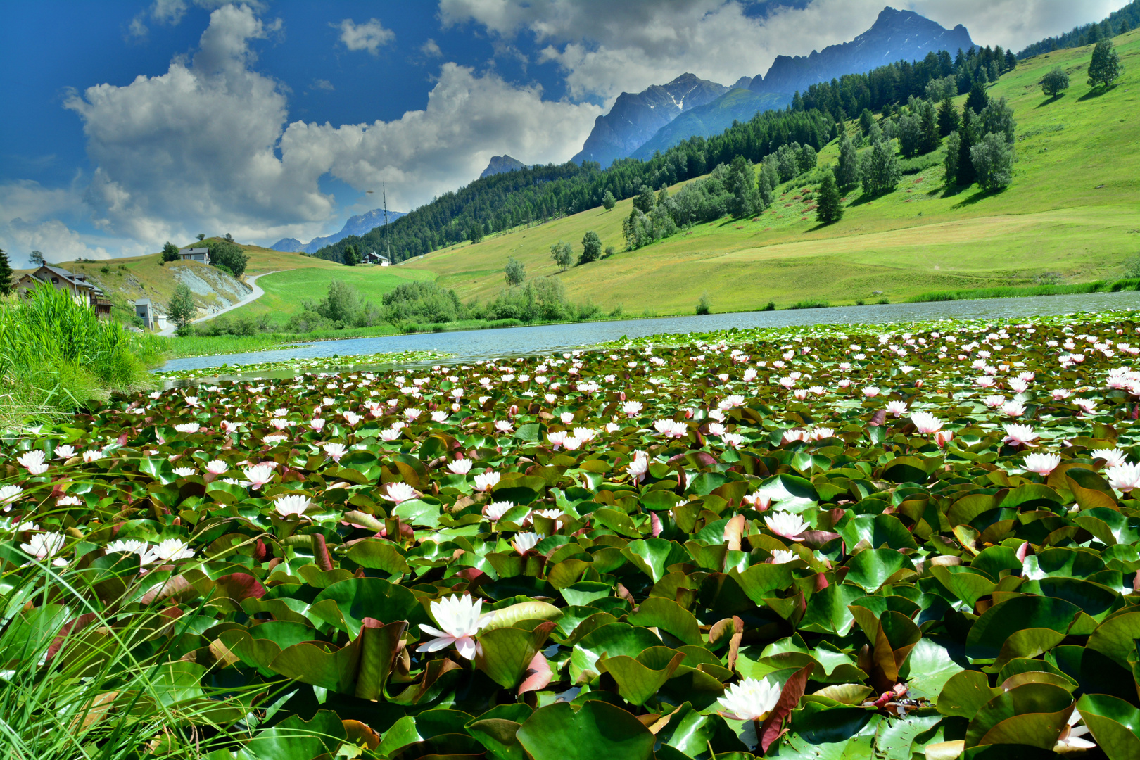 Schweizer Landschaften (11)