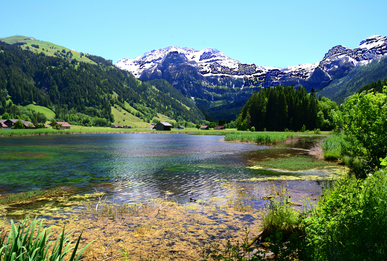  Schweizer  Landschaften 150 Foto Bild schweiz  natur 