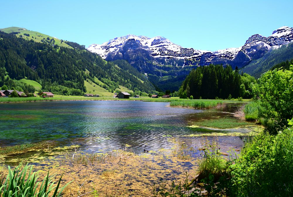 Schweizer Landschaften 150 Foto Bild  schweiz natur 