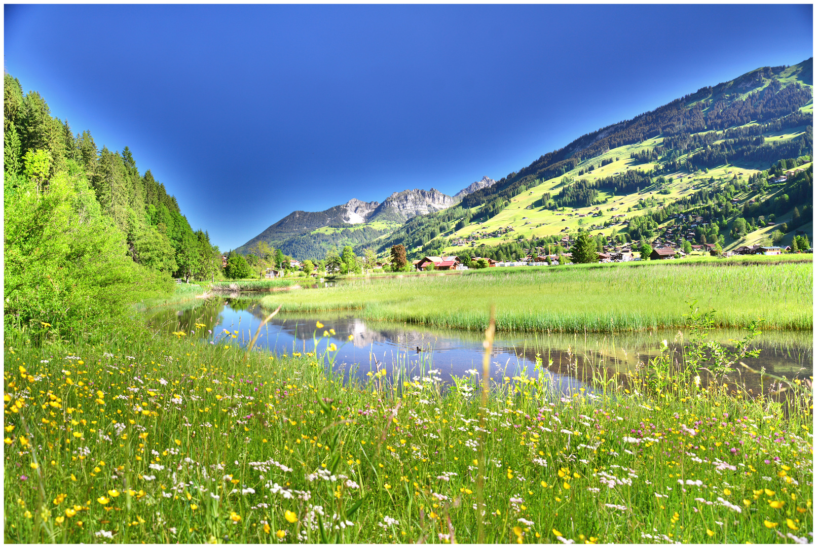  Schweizer  Landschaften 152 Foto Bild schweiz  see 