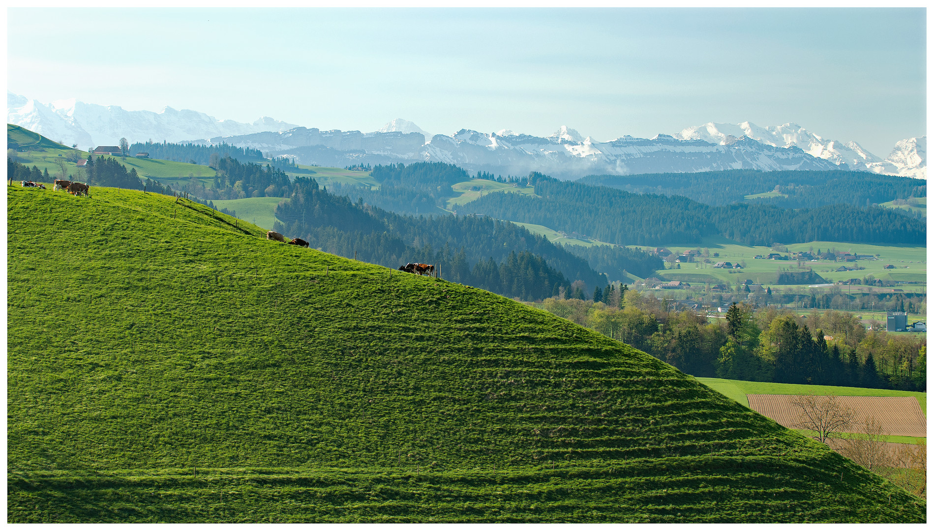 Schweizer Landschaften (198)