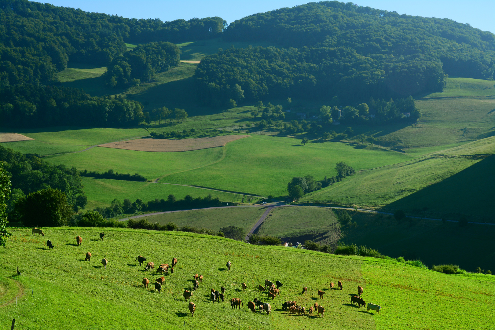 Schweizer Landschaften (22)