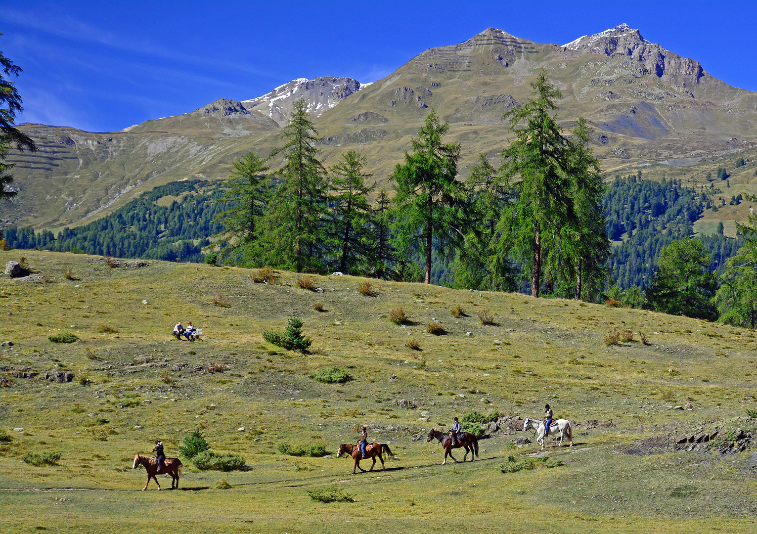 Schweizer Landschaften (27)