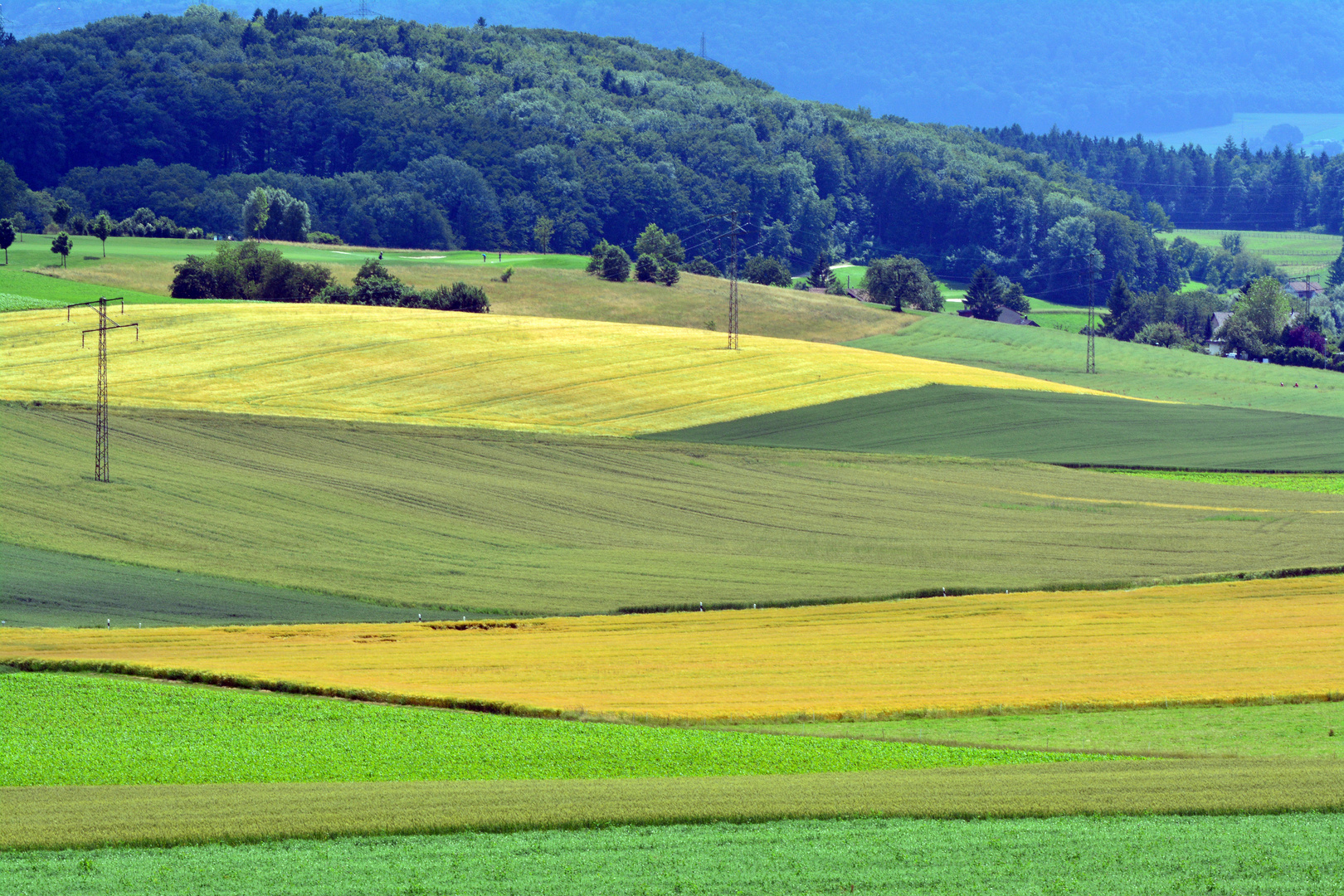 Schweizer Landschaften (3)