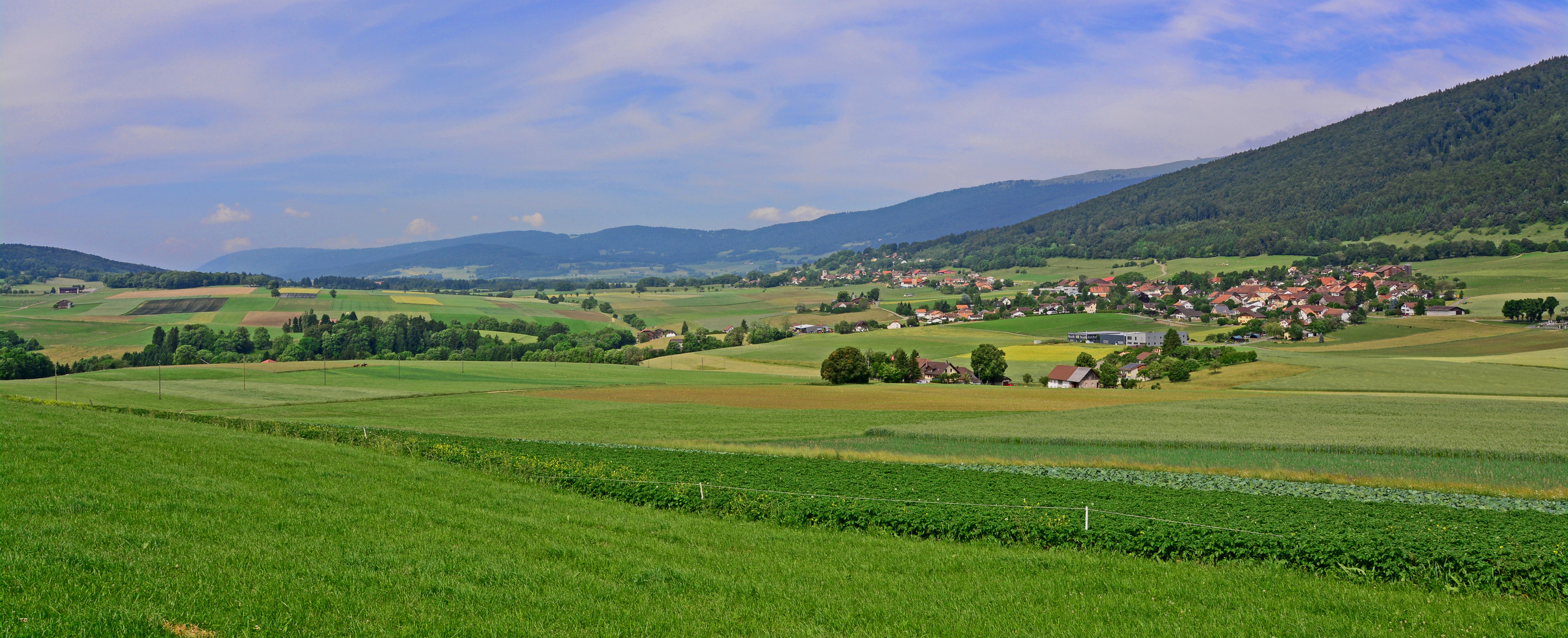 Schweizer Landschaften (74)